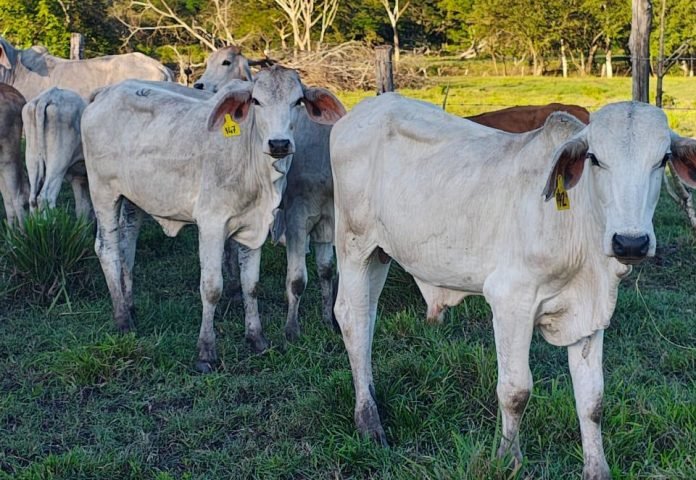 e9683ad2-0a06-4963-9443-7503124c2892